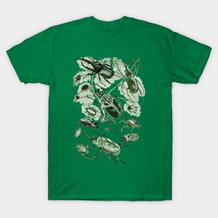 Coleoptera Beetles and Weevils J Mayson Brunswick Green T-Shirt